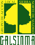 logo-galsinma.jpg