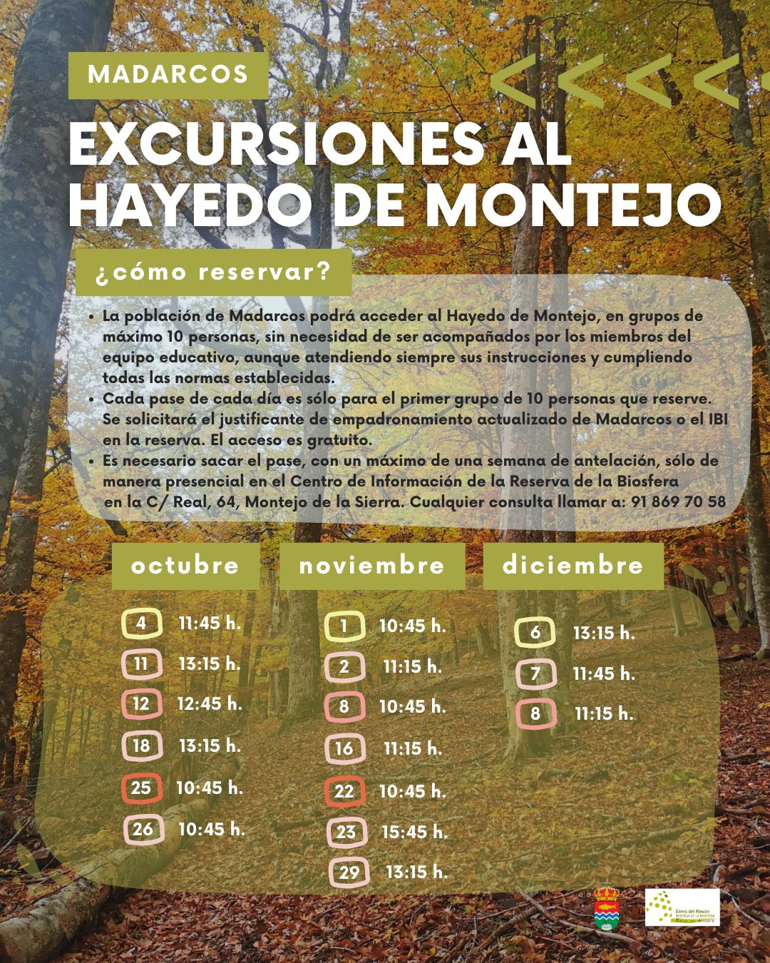 Excursión al Hayedo de Montejo