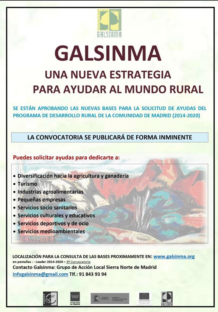 Galsinma convocatoria septiembre 2020