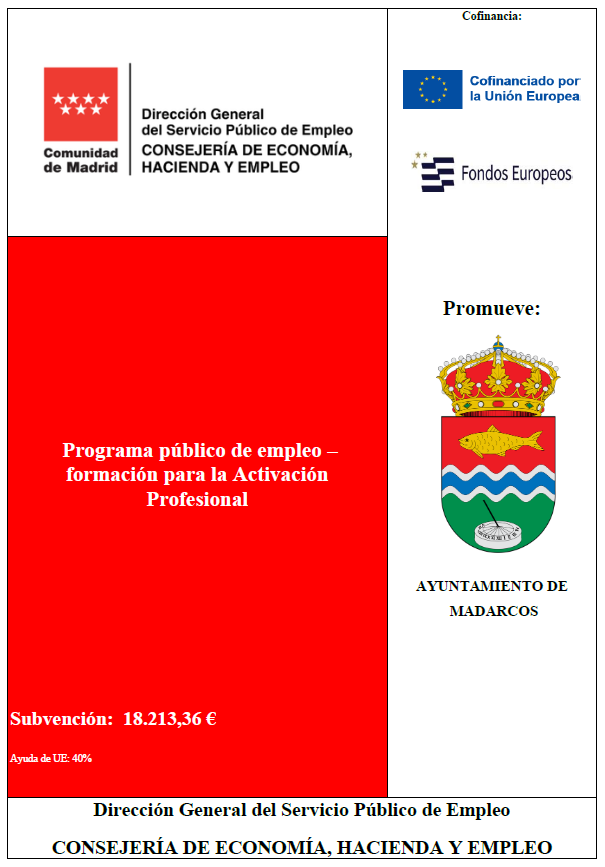 prog publico empleo activacion profesional