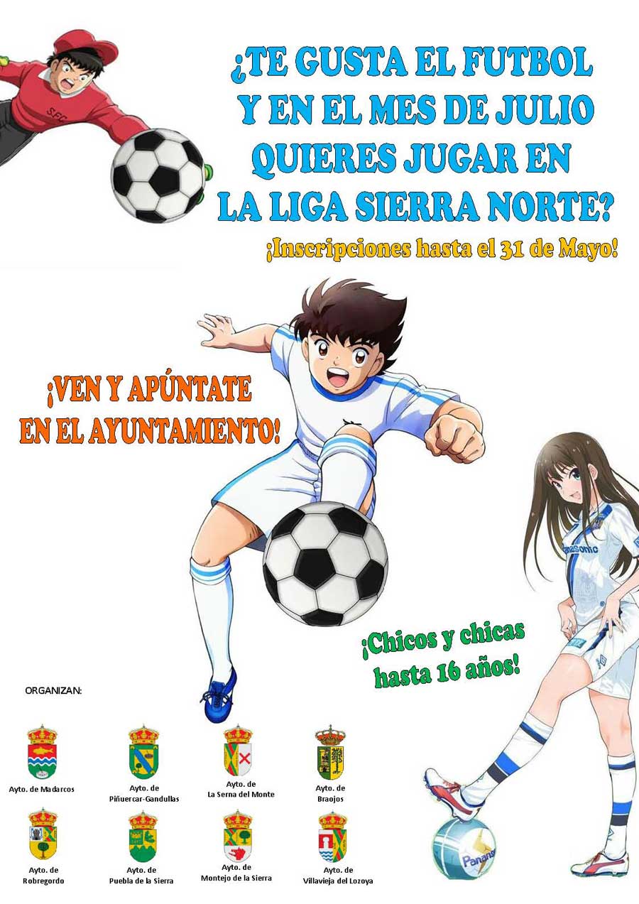 cartel liga futbol verano 2019