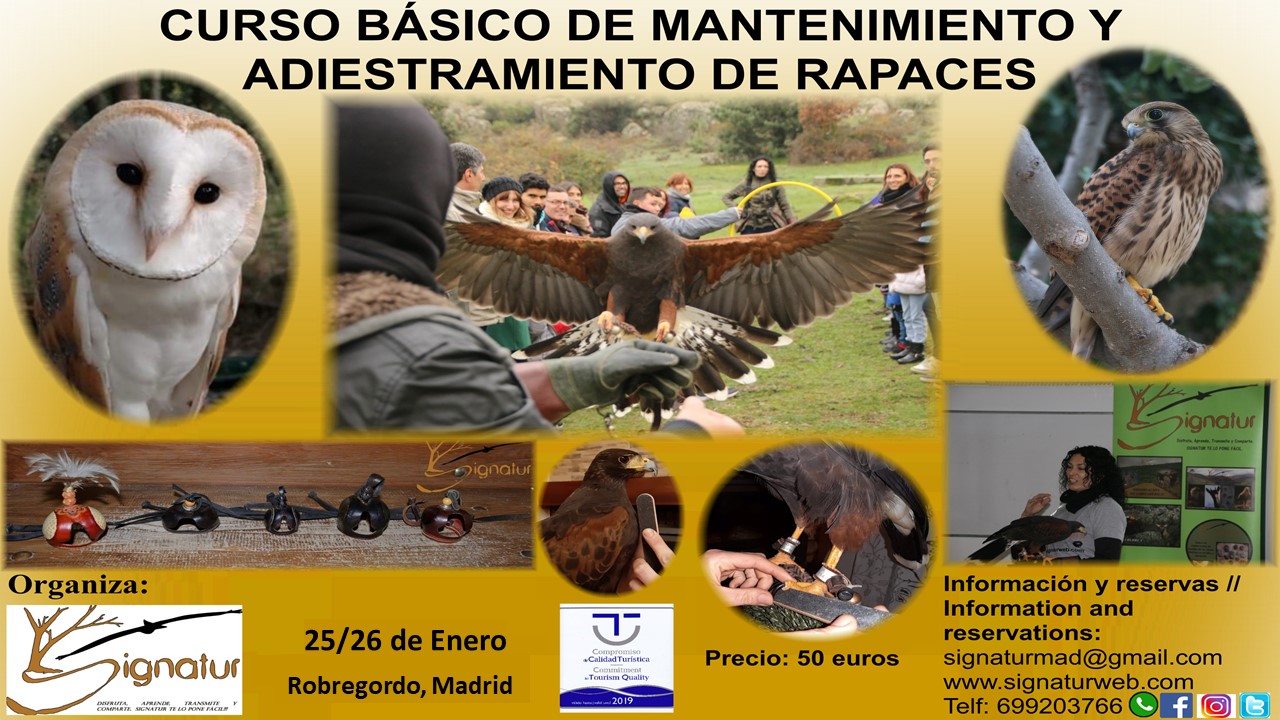 Curso aves rapaces 2